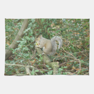ekorre med Acorn Kitchen Towel Kökshandduk