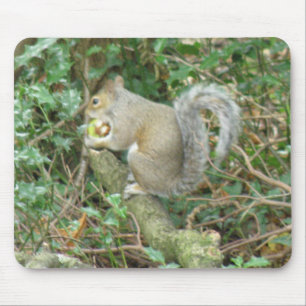 ekorre med Acorn Mousepad Musmatta