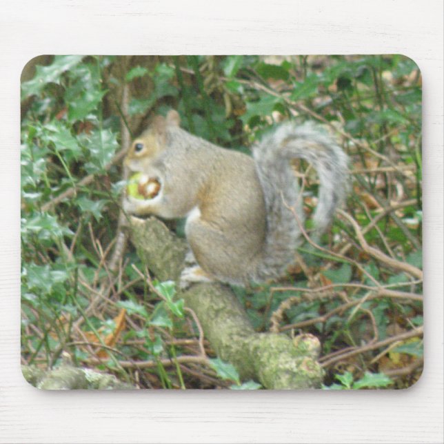 ekorre med Acorn Mousepad Musmatta (Framsidan)