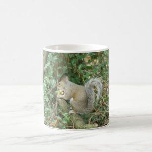 ekorre med Acorn Mugg