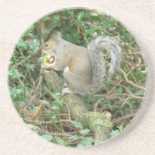 ekorre med Acorn Underlägg
