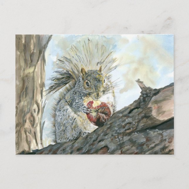 ekorre med äppelvykort vykort (Framsida)