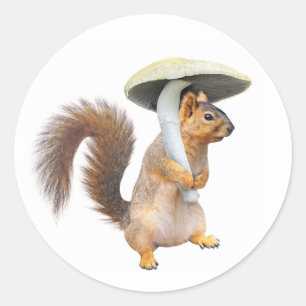 ekorre med Mushroom Sticker Runt Klistermärke