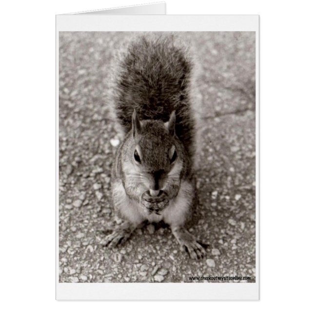 ekorre med Nöt Hälsningskort (Framsidan)