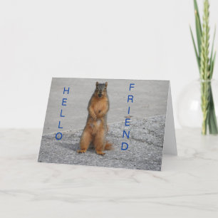 ekorre med Nöt, Hej vän Kort
