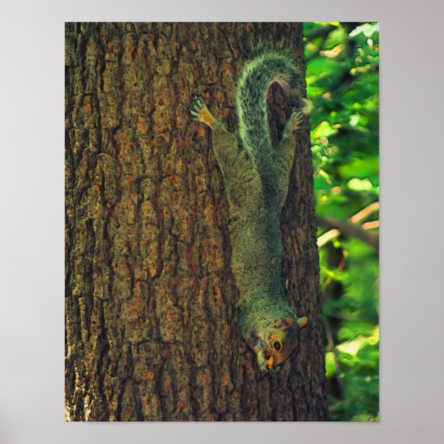 ekorre med peanut Wildlife Animal Art Poster (Framsidan)