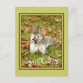 ekorre med ro vykort