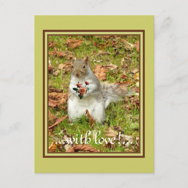 ekorre med ro vykort (Framsida)