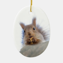 ekorre med valnöt julgransprydnad keramik