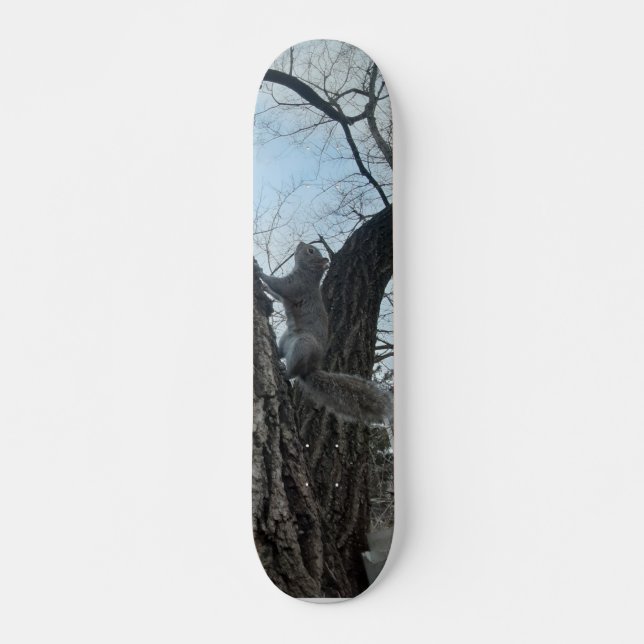 ekorre mini skateboard bräda 18,5 cm (Framsida)