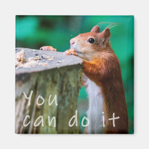 Ekorre motivationsord magnet