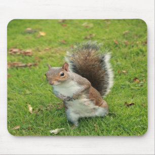 Ekorre Mousepad Musmatta