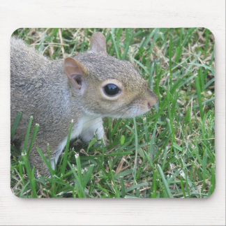 Ekorre Mousepad som presenterar "clickeren ", Musmatta