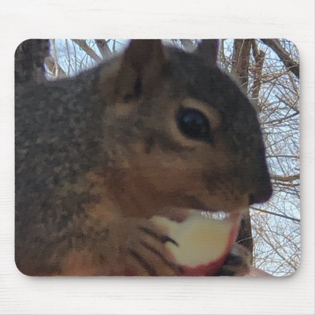 ekorre musmatta (Framsidan)