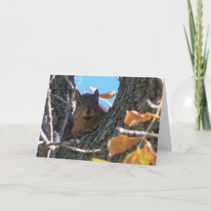 Ekorre Notecard Kort