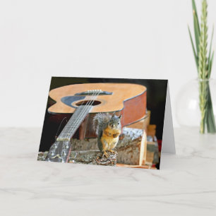 Ekorre och gitarr kort