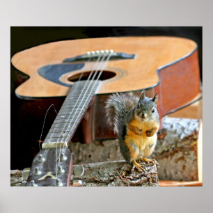 Ekorre och gitarr poster