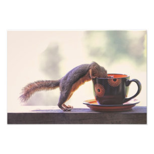 Ekorre- och kaffekopp fototryck
