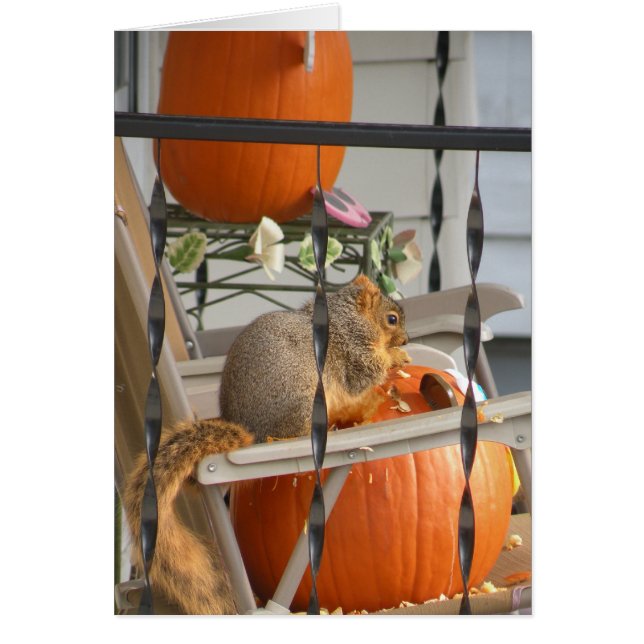ekorre och pumpkort hälsningskort (Framsidan)