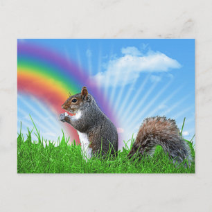 ekorre och Rainbow Himlar Vykort
