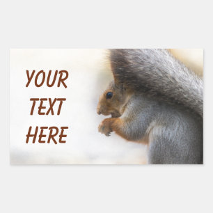 ekorre på en bänk och lite nöt rektangulärt klistermärke