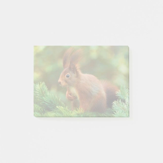 Ekorre på ett träd post-it block (Framsida)