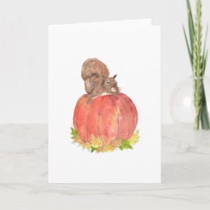 Ekorre på pumpa höst kort