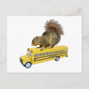 Ekorre på skolbuss vykort