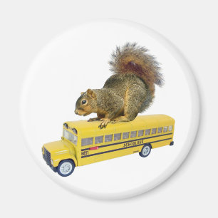 Ekorre på skolbussen magnet