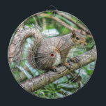 ekorre på träd dartboard darttavla<br><div class="desc">ekorre vid träd</div>