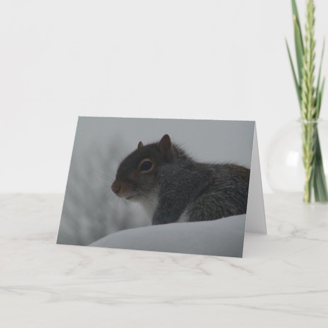ekorre på vintern kort (Framsida)