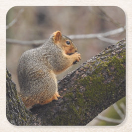Ekorre pris underlägg papper kvadrat