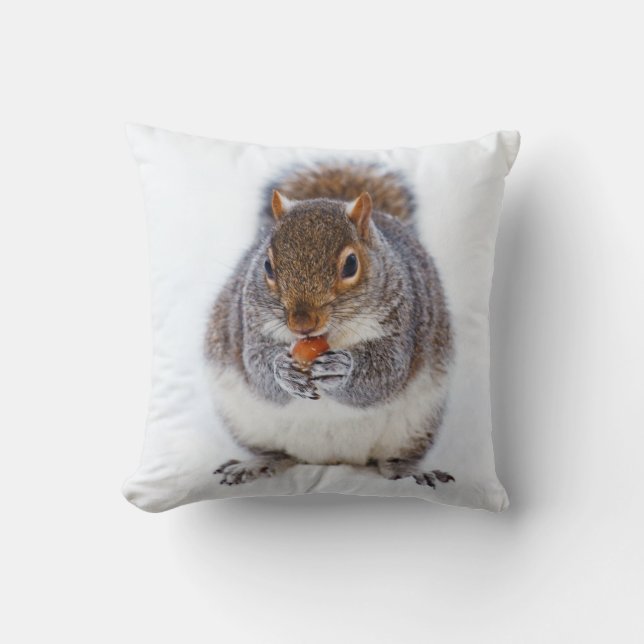 ekorre som äter en tunn kudde av Nöt (Framsida)