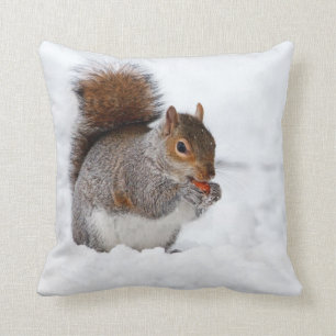 ekorre som äter en tunn kudde av Nöt