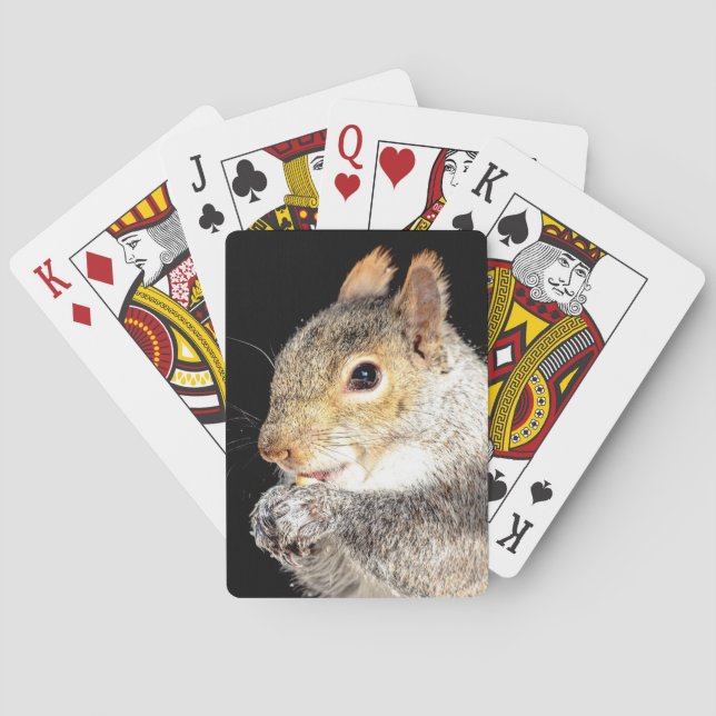 ekorre som äter nöt casinokort (Baksidan)