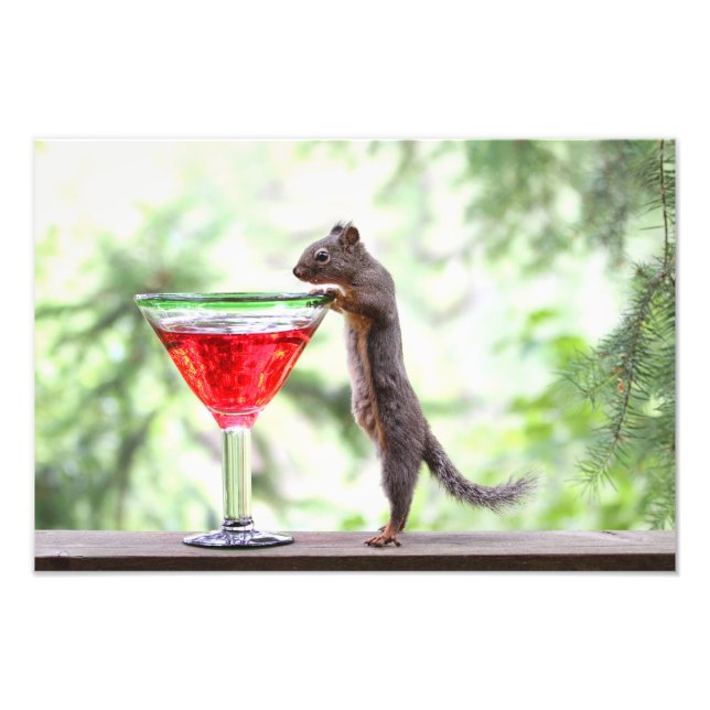 ekorre som dricker en Cocktail Fototryck (Framsidan)
