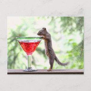 ekorre som dricker en Cocktail Vykort
