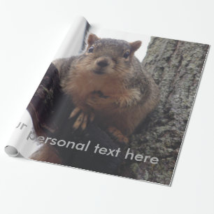 Ekorre som tittar på ditt presentpapper