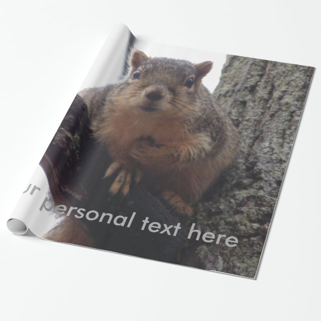 Ekorre som tittar på ditt presentpapper (Utrullad)