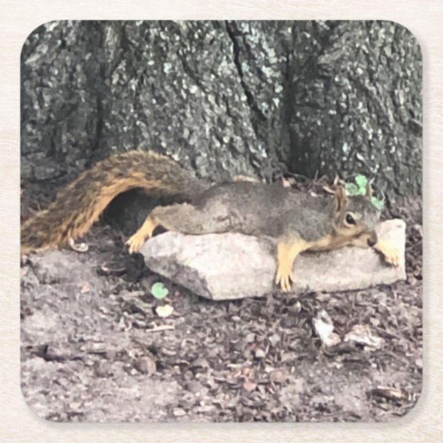 ekorre underlägg papper kvadrat (Framsidan)