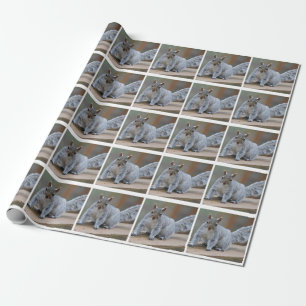 Ekorrefoto Presentpapper