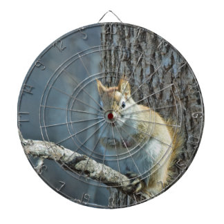 EkorreHatersDartboard Piltavla