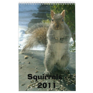 Ekorrekalender 2011 kalender