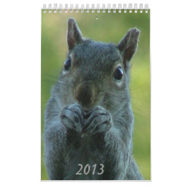 Ekorrekalender 2013 kalender