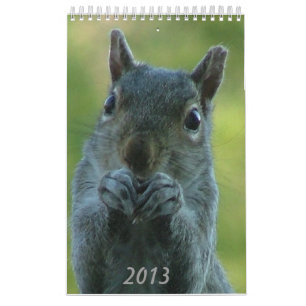 Ekorrekalender 2013 kalender