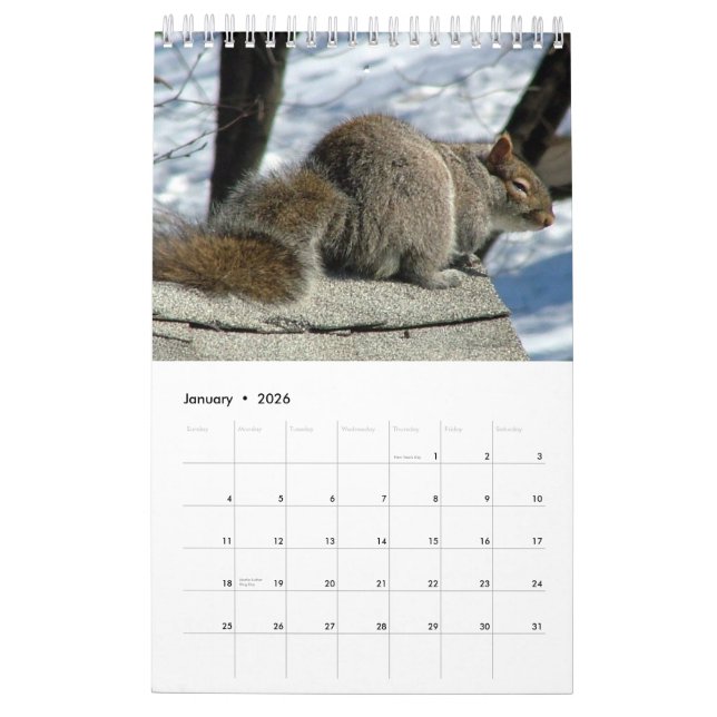 Ekorrekalender 2013 kalender (Jan 2026)
