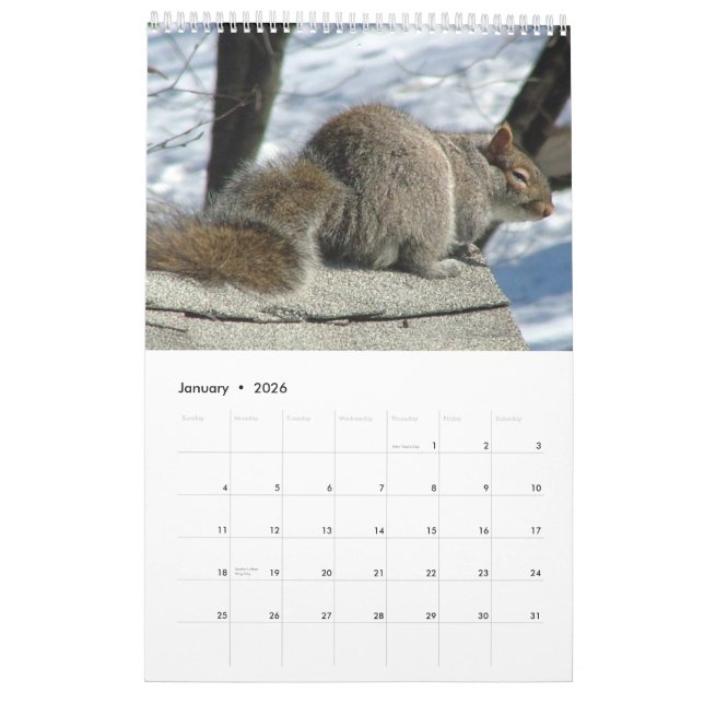 Ekorrekalender 2013 kalender (Jan 2026)