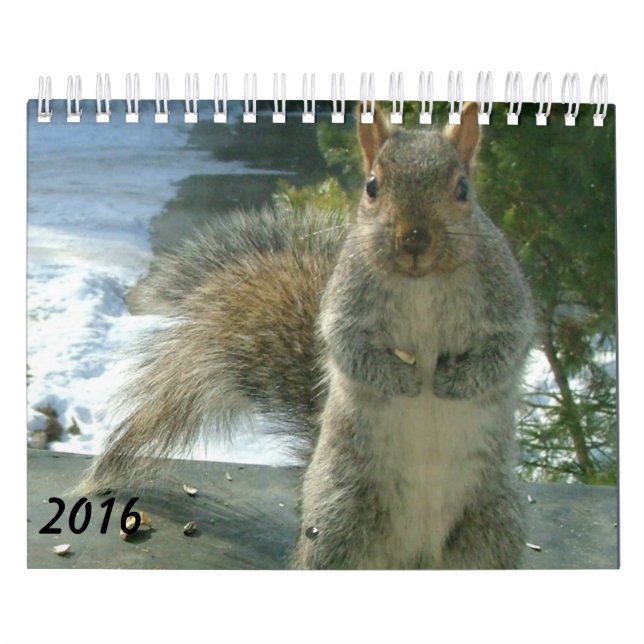 Ekorrekalender 2016 kalender (Omslag)