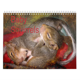 Ekorrekalender Kalender