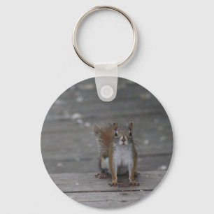 Ekorrekeychain Nyckelring